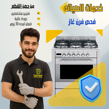 Gas Oven Inspection